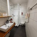 מלון Hotel-pension Gruene Linde דליטש'