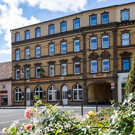 Otel Hotel-pension Grüne Linde 2*