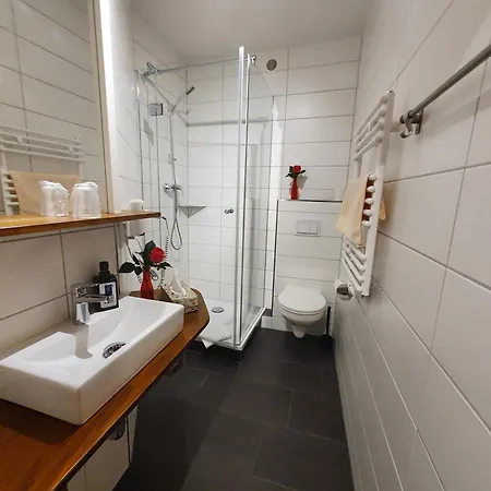 Отель Hotel-pension Gruene Linde Делич