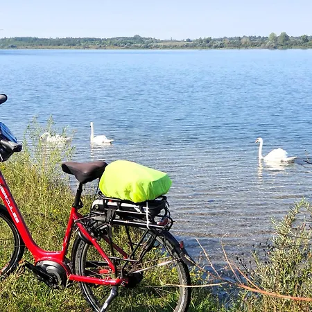 Hotel-pension Grüne Linde Otel