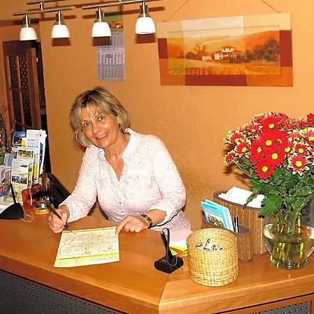 Hotel-pension Gruene Linde 2* דליטש'