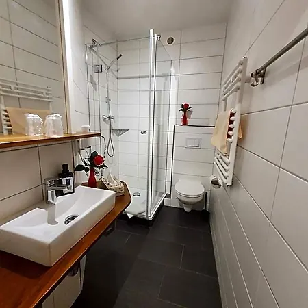Hotel-pension Gruene Linde דליטש'