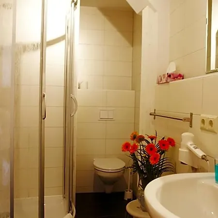 מלון Hotel-pension Gruene Linde 2*