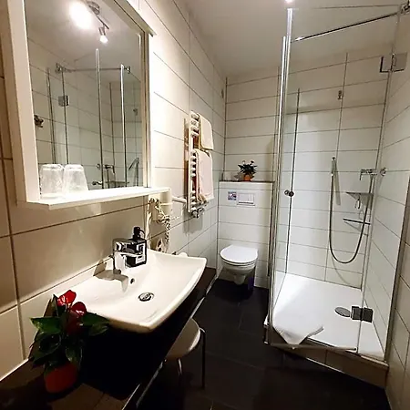 מלון Hotel-pension Gruene Linde דליטש'