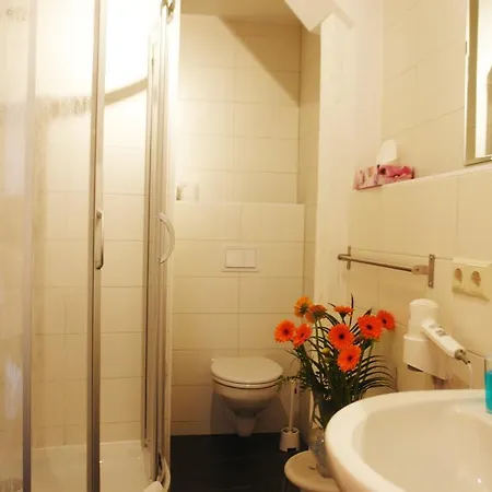 Hotel-pension Gruene Linde מלון דליטש'