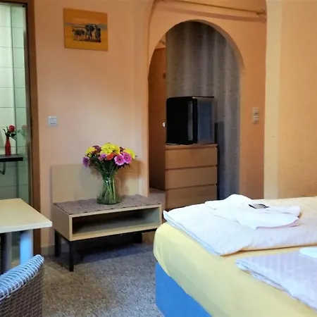 Hotel Hotel-pension Gruene Linde