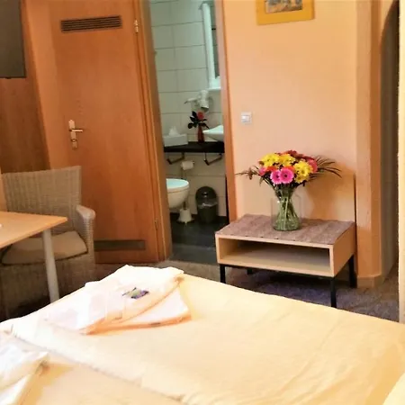 Hotel-pension Gruene Linde Delitzsch