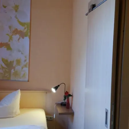 Hotel-pension Gruene Linde 2* דליטש'