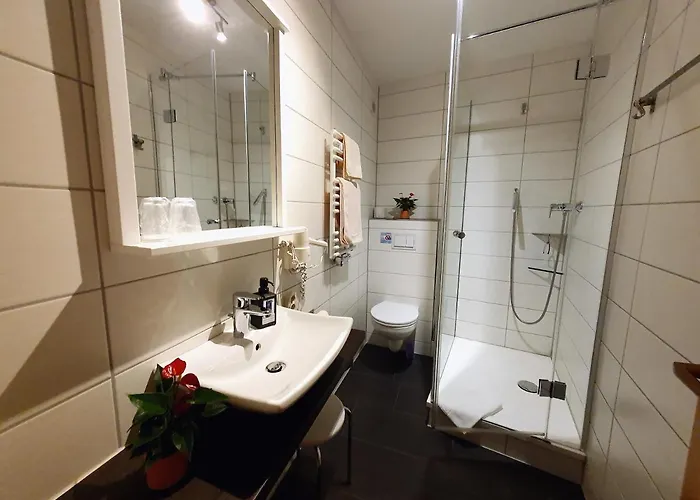 Hotel-pension Gruene Linde فندق 2*