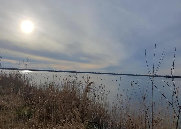 فندق Hotel-pension Gruene Linde ديلتزش