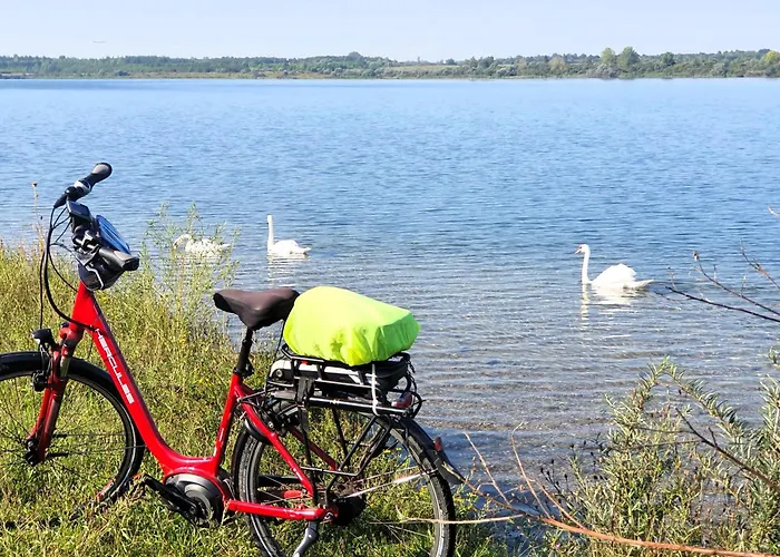 Hotel-pension Gruene Linde فندق