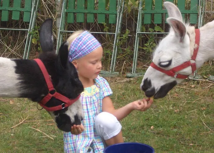 Hotel-pension Gruene Linde 2* ديلتزش