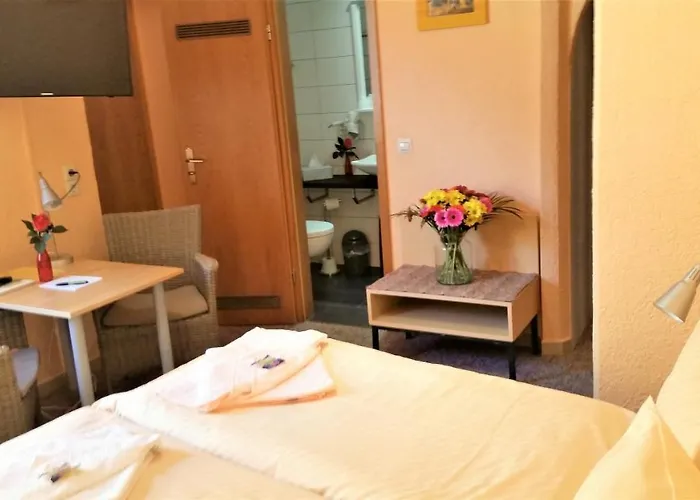 Hotel-pension Gruene Linde ديلتزش