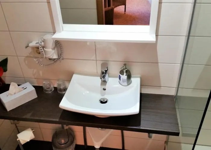 فندق Hotel-pension Gruene Linde 2*