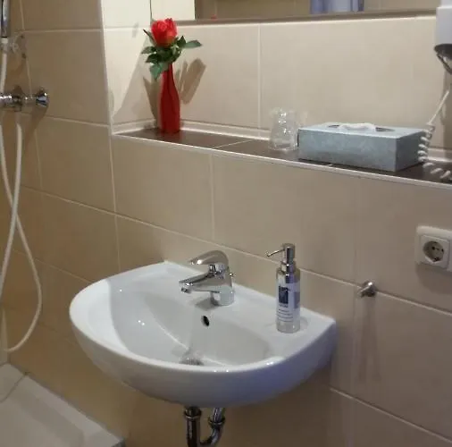 فندق Hotel-pension Gruene Linde ديلتزش